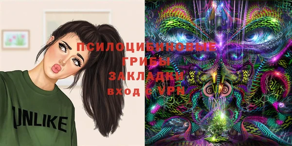 амф Бугульма