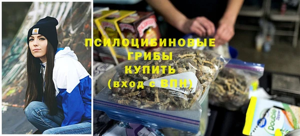 твердый Бронницы