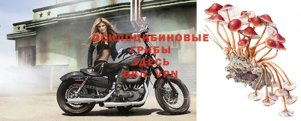 твердый Бронницы