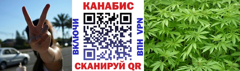 Конопля сатива  наркота  Гремячинск 